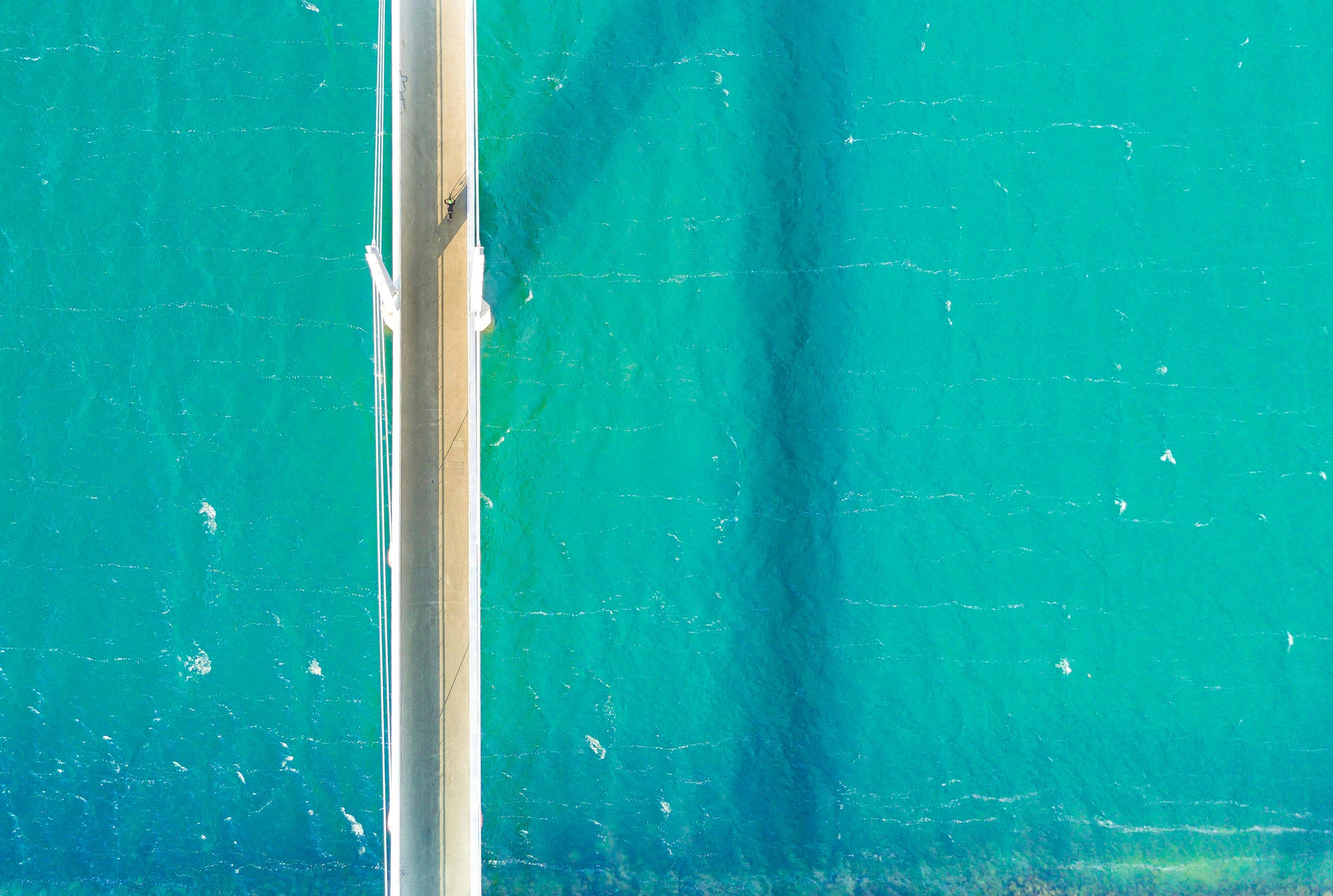 parallax image